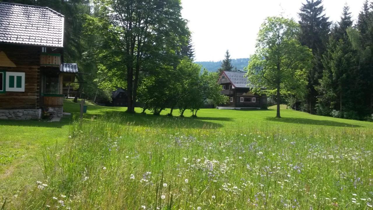 Ferienhaeuser Stohl Villa Mariapfarr Bagian luar foto