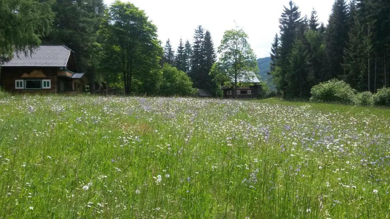 Ferienhaeuser Stohl Mariapfarr Bagian luar foto
