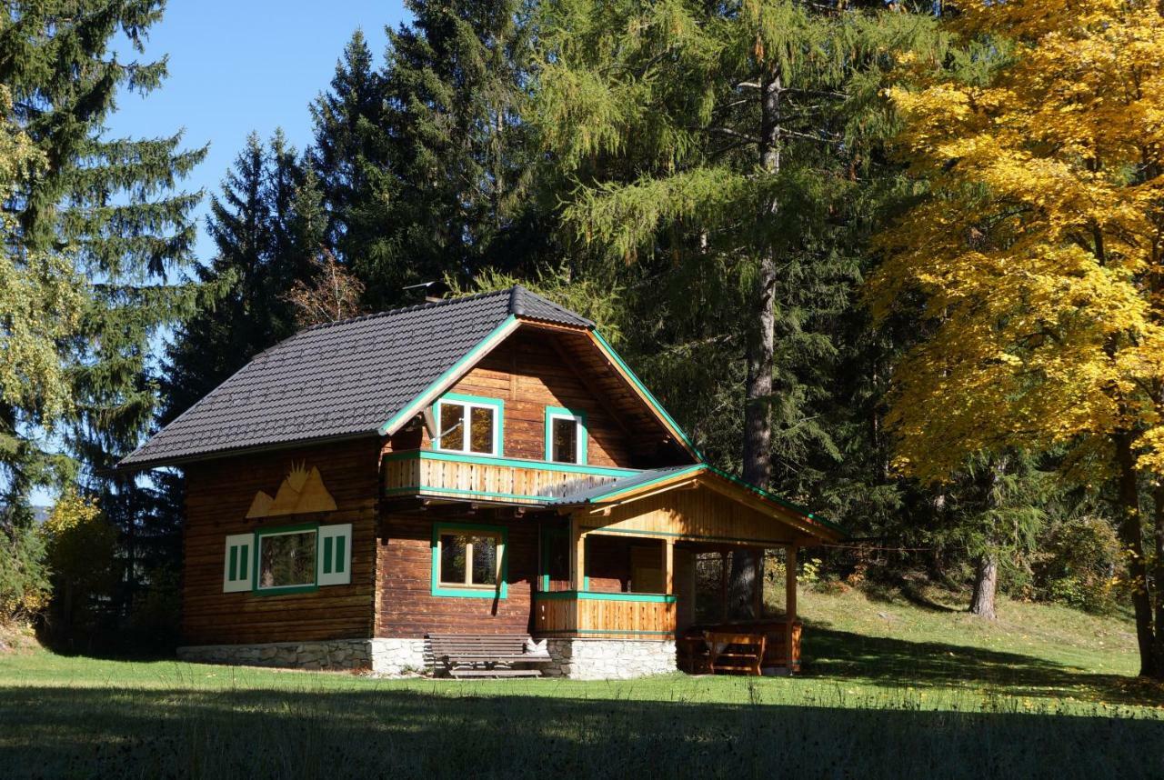 Ferienhaeuser Stohl Villa Mariapfarr Bagian luar foto