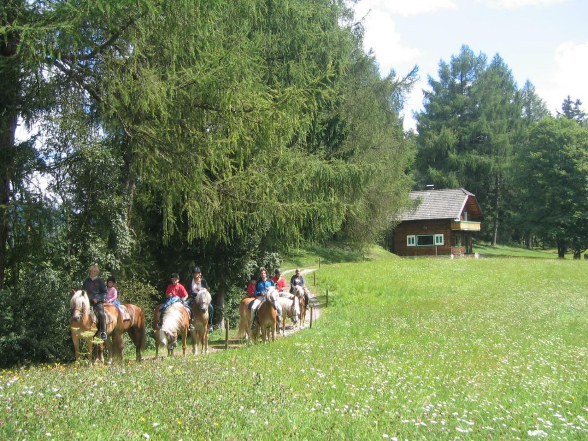 Ferienhaeuser Stohl Villa Mariapfarr Bagian luar foto