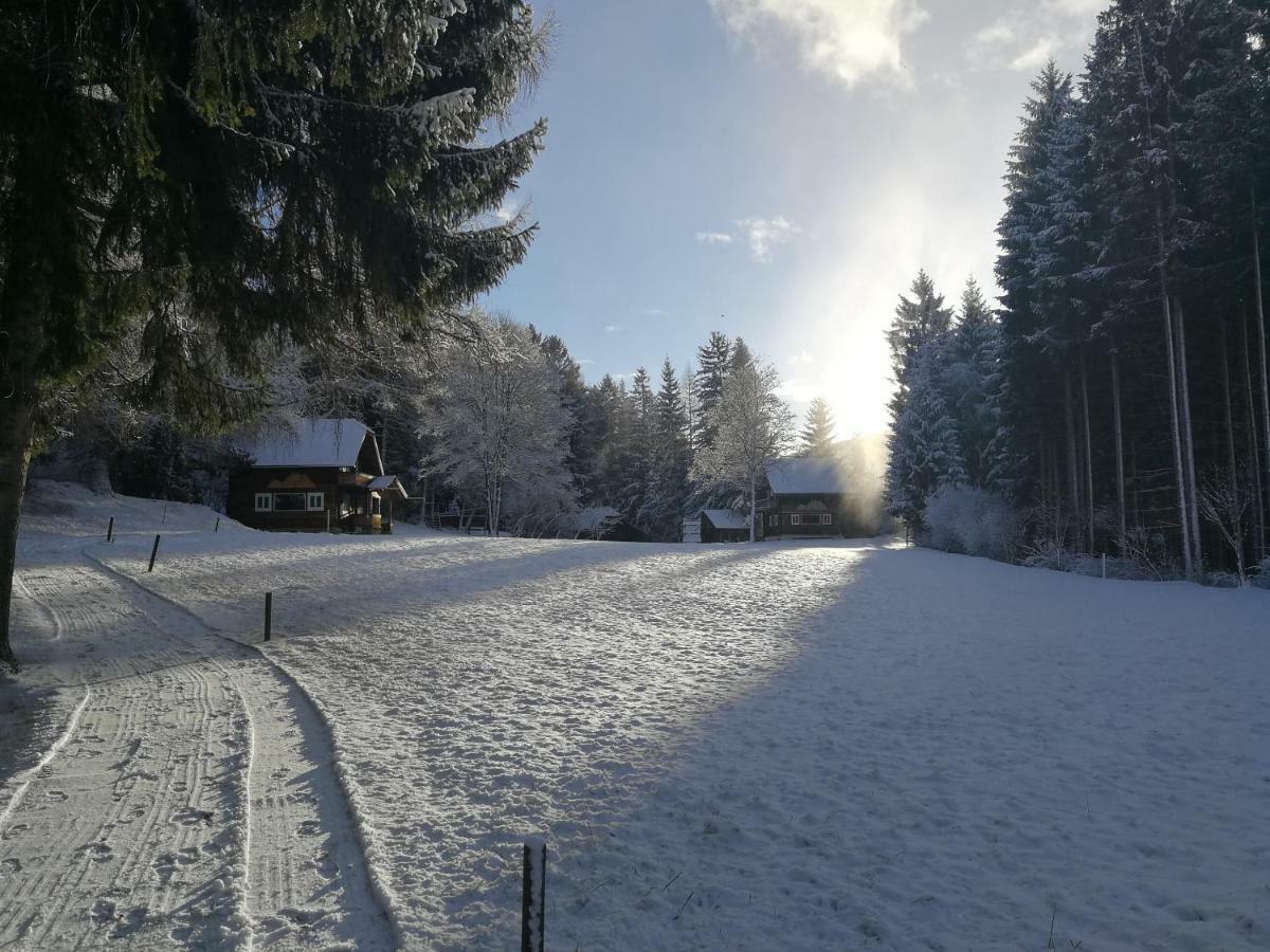 Ferienhaeuser Stohl Villa Mariapfarr Bagian luar foto